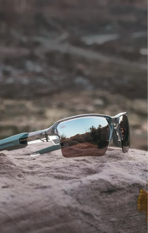 Talon sport sunglasses
